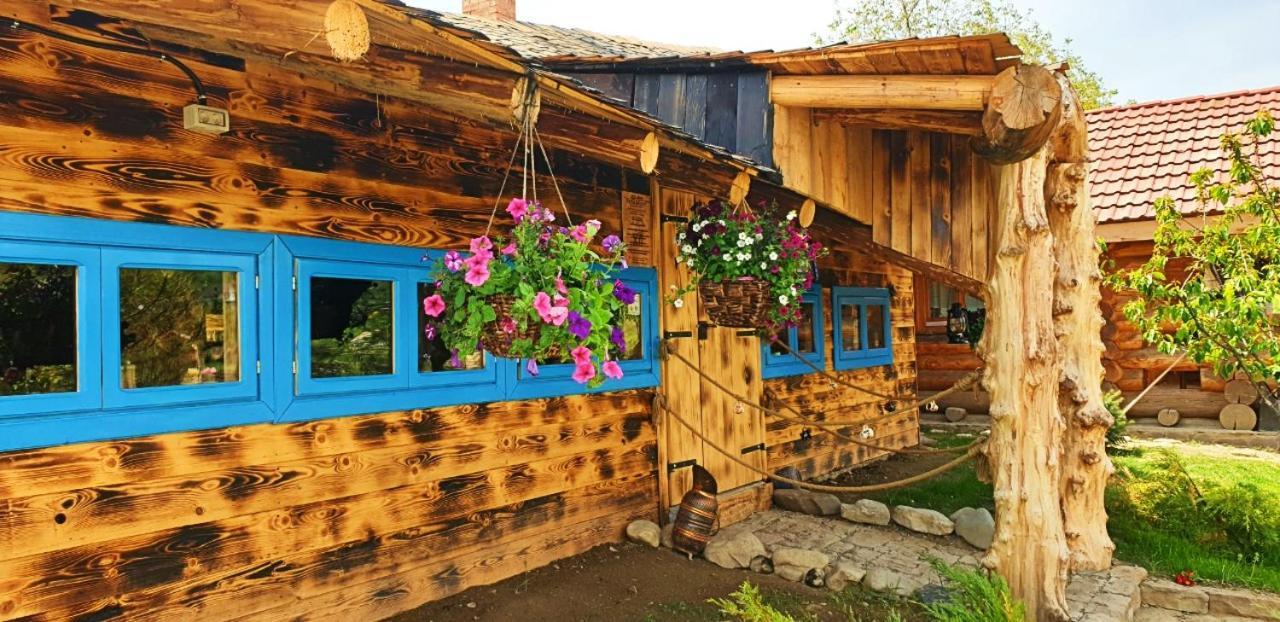 Hotel Valea Celor Doisprezece Piriu Dobreni Esterno foto